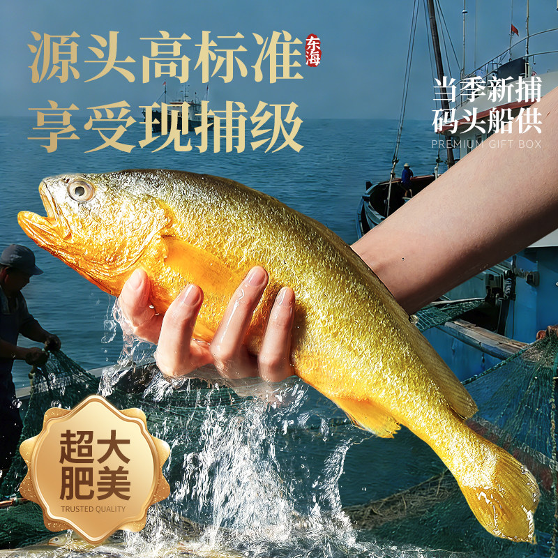 舟山大黄鱼礼盒装深海小黄花鱼鲜活冷冻生鲜海鲜海鱼新鲜水产商用
