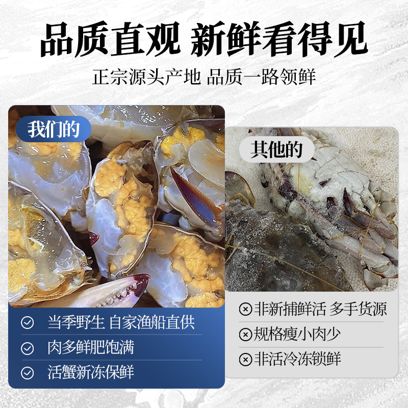 梭子蟹特大野生舟山大螃蟹新鲜冷冻蟹海鲜水产飞蟹白蟹肉公蟹顺丰