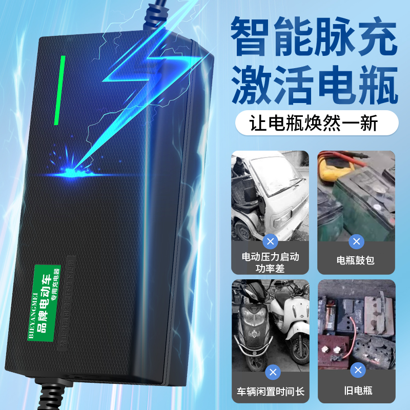 适用星光电动车电瓶48V12AH60V20AH72V20A原装自动断电专用充电器 - 图1