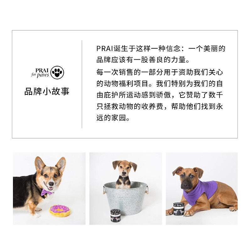 prai抗皱紧致霜提拉紧致护理招牌 LOOKFANTASTIC海外乳液/面霜