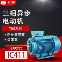Shandong Hualio YE3 series three-phase asynchronous motor efficient and energy-saving number complete manufacturer direct marketing guarantee