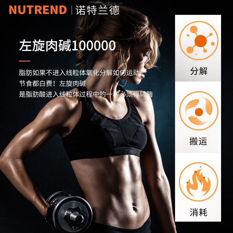  诺特兰德骏德涿鹿左旋肉碱