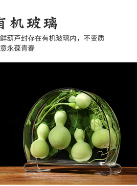 天然葫芦摆件保鲜绿色植物客厅