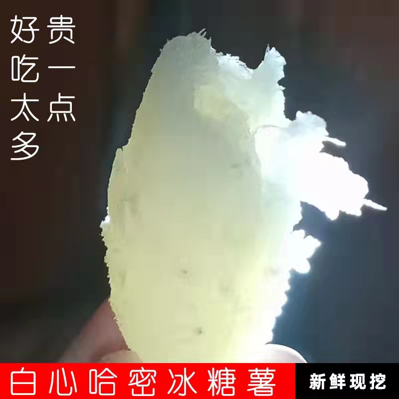 东北哈密冰糖薯新鲜白心板栗白薯面蜜薯白玉地瓜沙地农家瓦房店