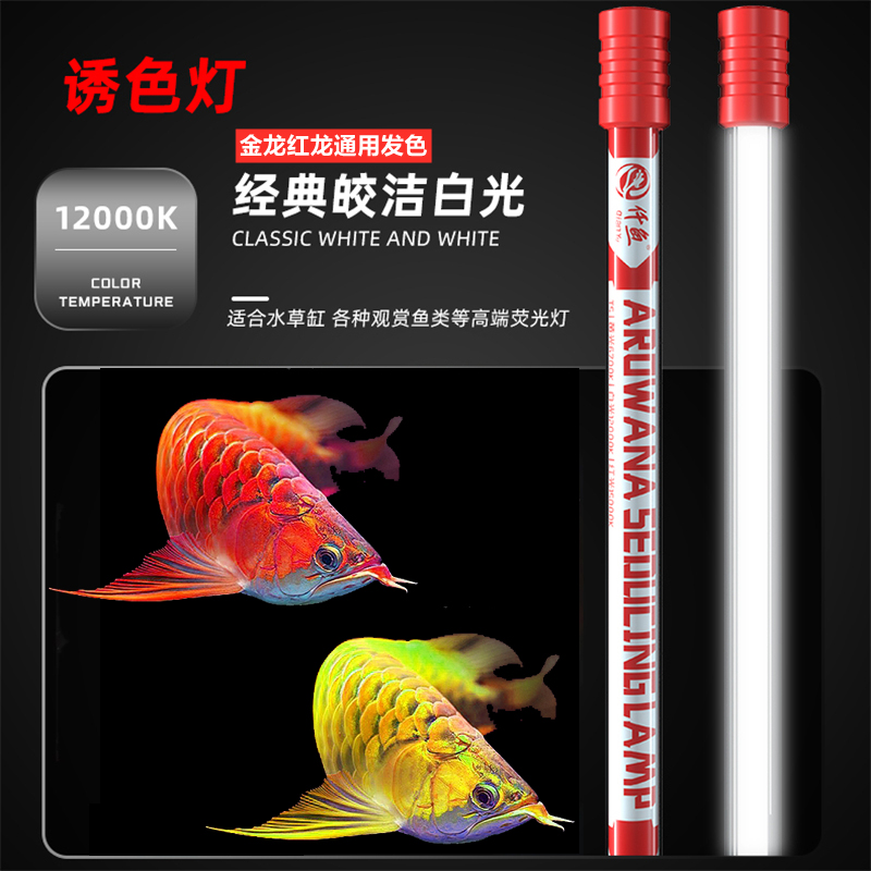 龙鱼专用发色灯诱色增色仟鱼T5鱼缸原子灯nec金龙红龙鱼灯潜水灯 - 图0