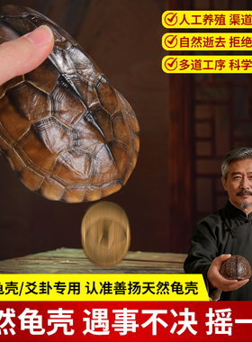 天然龟壳摇卦工具文创铜钱摆件