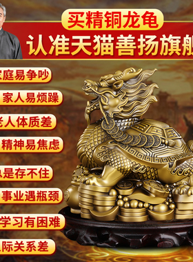 纯黄铜龙龟摆件聚宝盆八卦龙头龟