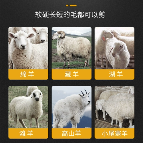 Специальная электрическая машина для бритья для бритья для бархати