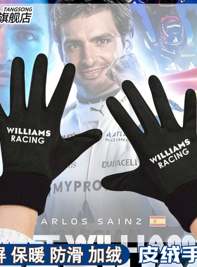 Williams威廉姆斯F1车队手套