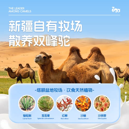 依巴特领袖驼高钙益生菌驼奶粉新疆骆驼奶粉成人中老年儿童骆驼奶 - 图2
