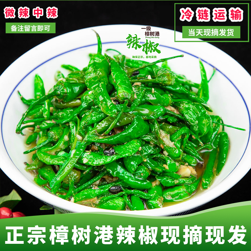 正宗樟树港辣椒椒农自种精品新鲜现摘湘菜下饭菜湖南湘阴特产礼品 - 图0