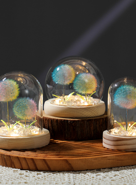 创意蒲公英小夜灯台灯装饰品摆件