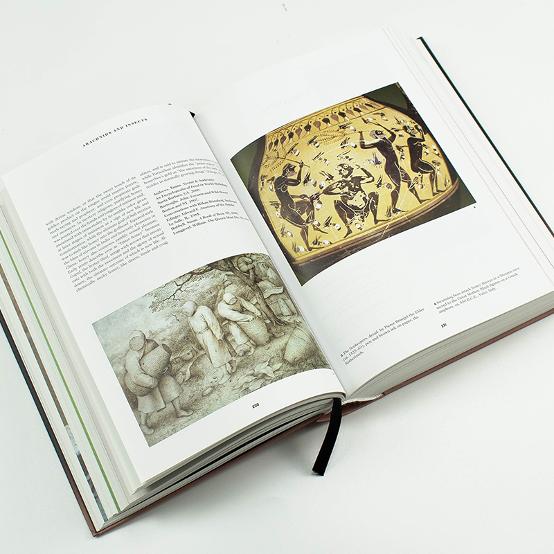 【预订】TASCHEN Book of Symbols塔森精装符号图集符号图集平面设计历史专业辅助参考艺术画册集进口英文原版图书-图3