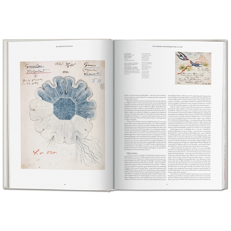 【预订】TASCHEN Ernst Haeckel 恩斯特·海克尔 自然历史科学生物艺术书籍绘画手绘彩图画册原版书大开本 塔森进口原版图书包邮 - 图3