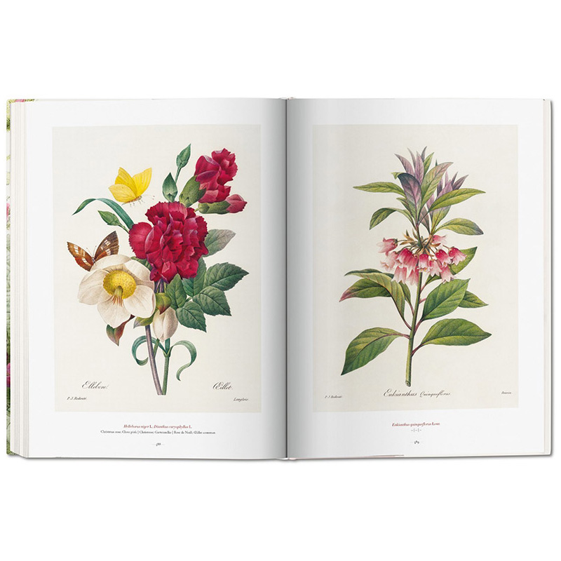 【现货】TASCHEN Redouté.The Book Of Flowers塔森雷杜德花之书手绘花卉花草图鉴植物绘画插画插图收藏装饰画册集作品艺术图书-图1