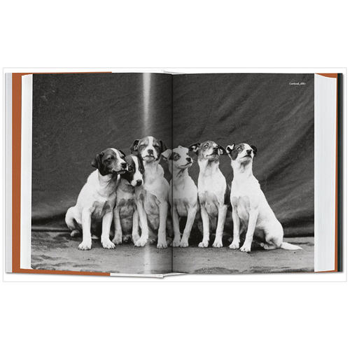 【预订】TASCHEN The Dog in Photography 1839-Today图书馆系列照片中的狗狗1839-现在宠物萌宠艺术摄影作品进口原版英文图书 - 图0
