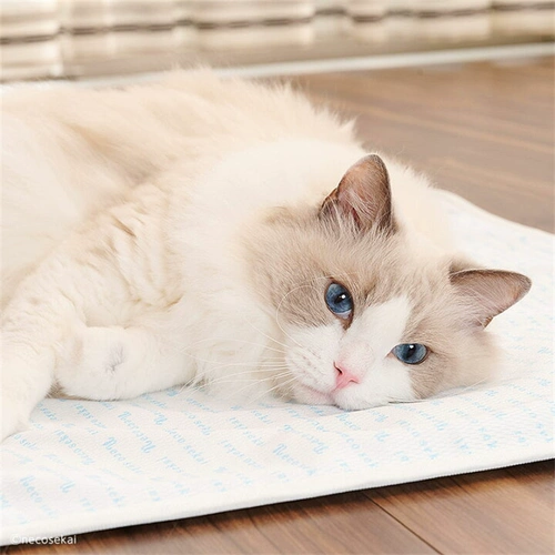 Necoosekai Summer Cold Sense освежающая подушка летняя специальная холодная подушка двойное использование кошачьих ковриков.