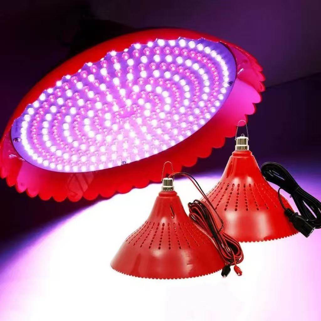 12V24V48V地摊灯夜市低压电瓶灯生鲜灯猪肉灯水果熟食灯红光变色,淘宝优惠券,粉丝福利购,淘宝优惠卷