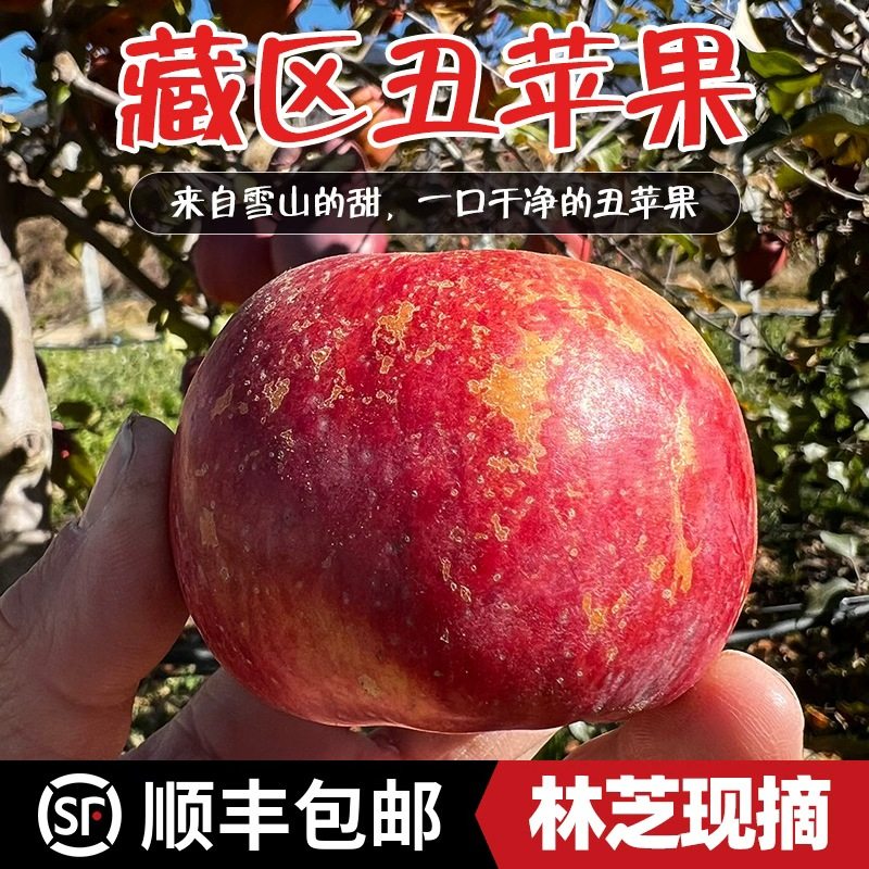 西藏林芝丑苹果海拔2900米高原生态种植甜脆2025水果新鲜当季,淘宝优惠券,粉丝福利购,淘宝优惠卷