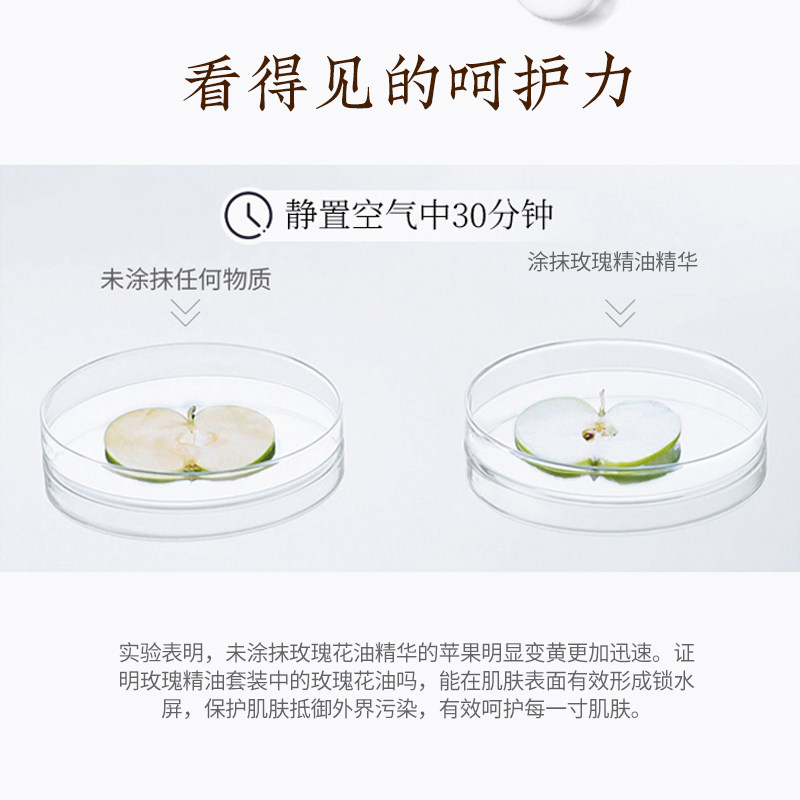 玫瑰初老面部护理水乳护肤套装精油 禾贝面部护理套装