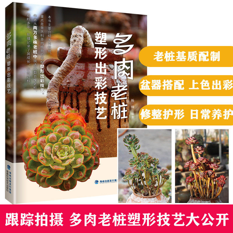 多肉植物养殖 新人首单立减十元 21年7月 淘宝海外 多肉植物养殖 新人首单立减十元 21年7月 淘宝海外