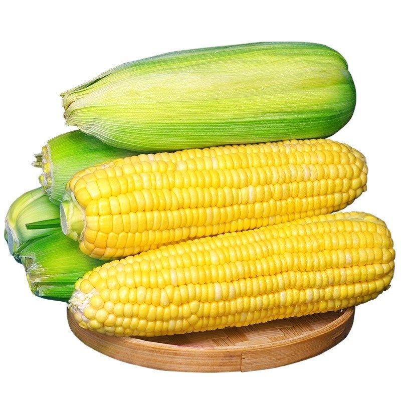 广西农家水果玉米9斤新鲜生吃甜玉米棒子粘苞谷米现摘糯包邮蔬菜5,淘宝优惠券,粉丝福利购,淘宝优惠卷