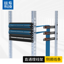 Channel-type wire frame network cabinet side tie-wire strip power cord PDU distribution wire rack rationalizer