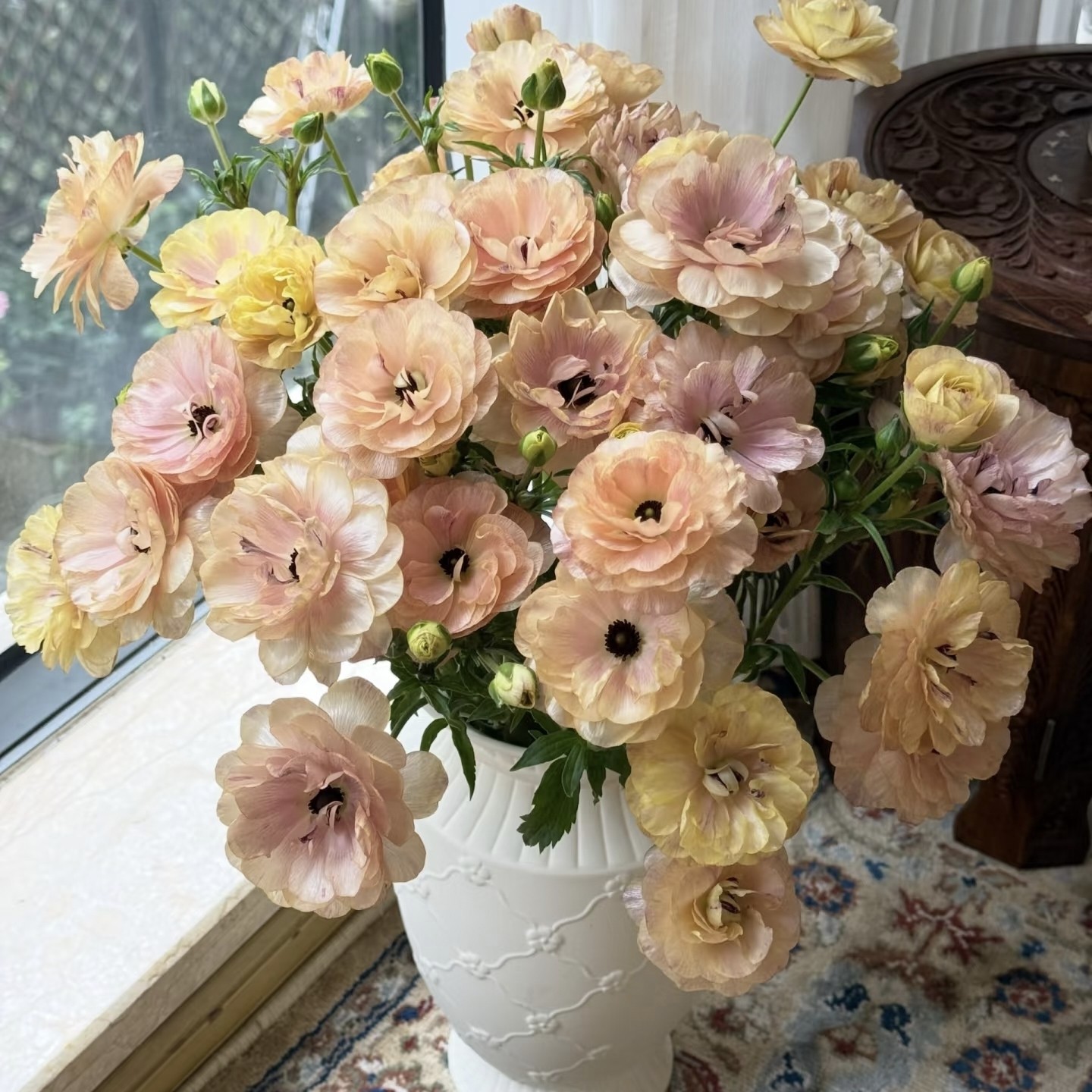 【云舍精选】希腊女神蝴蝶洋牡丹一扎 任意组合2单或以上包邮,淘宝优惠券,粉丝福利购,淘宝优惠卷