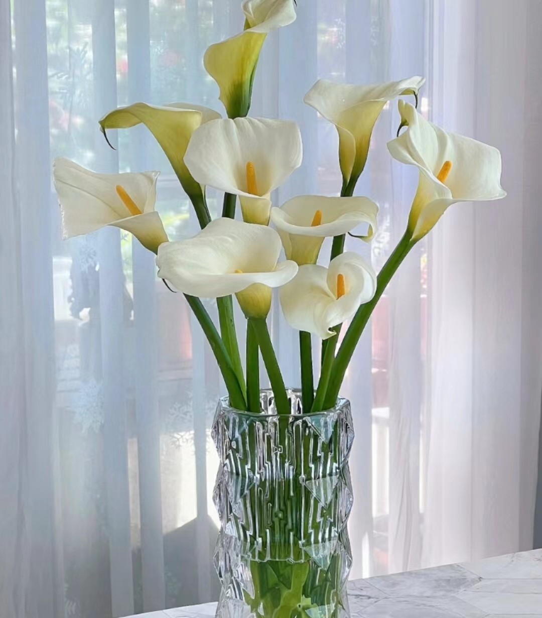 【云舍优选】花期长 马蹄莲 2单或以上包邮鲜切花基地直发鲜切 - 图1