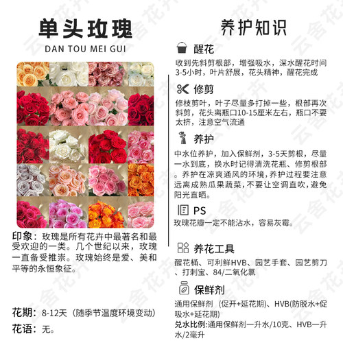 【云舍臻选】稀有窒息单头玫瑰鲜花 任意组合2单或以上包邮 - 图2