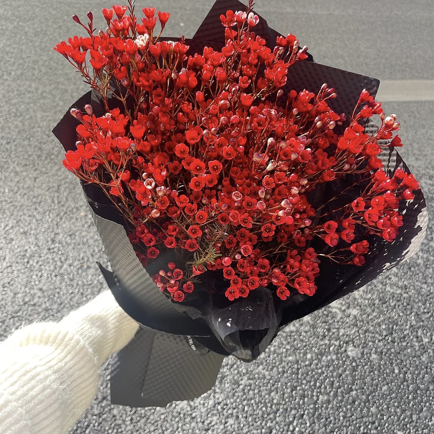 年宵花【首选】红色腊梅一扎 吸色的 任意组合2单冷链包邮,淘宝优惠券,粉丝福利购,淘宝优惠卷