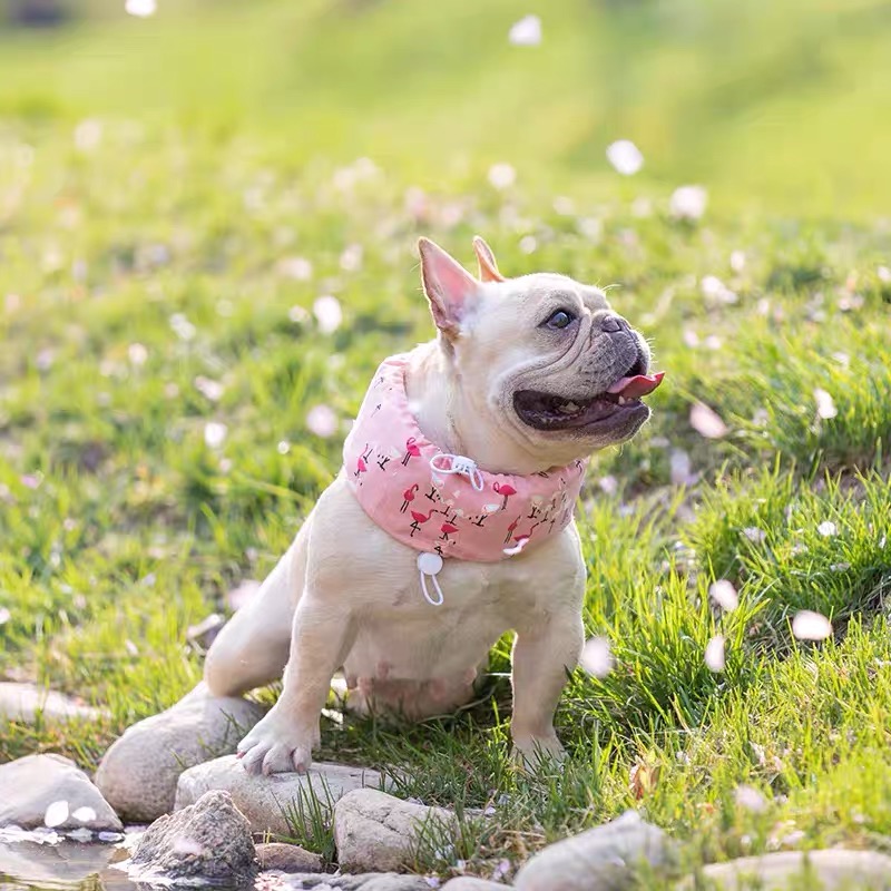 夏季宠物狗狗法斗巴哥斗牛犬英牛恶霸降温冰围脖 外出解暑冰袋 - 图0