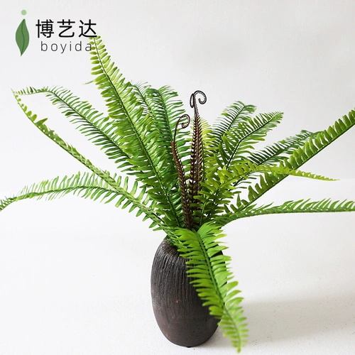 Гу Линг Исишен Моделирование растения Стена зеленый растение папоротники.