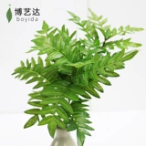 Гу Линг Исишен Моделирование растения Стена зеленый растение папоротники.