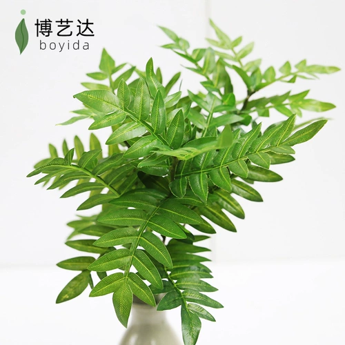 Гу Линг Исишен Моделирование растения Стена зеленый растение папоротники.