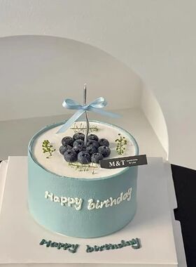 仿真蛋糕网红生日蛋糕模型仿真蓝莓草莓奶油假蛋糕橱窗展示道具拍