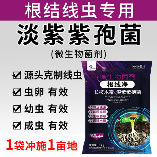 根结线虫专用药淡紫紫孢菌淡紫拟青霉菌剂根线清微生物菌剂 - 图0