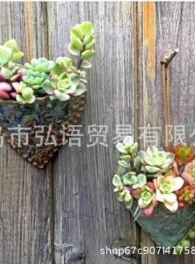 新款复古心形多肉树脂花盆壁挂多肉拼盘绿色植物花器树脂墙壁装饰