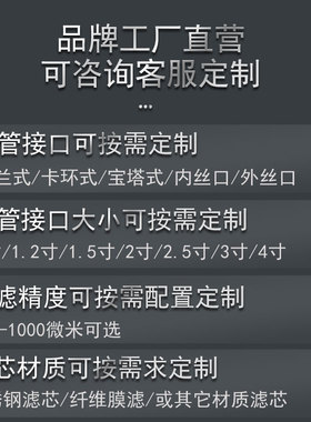 耀龙泉大型前置过滤器大流量