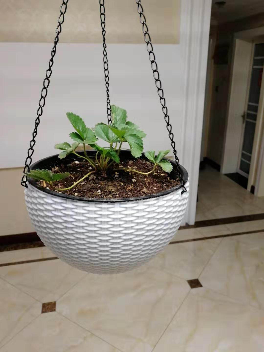 营养土阳台种植多肉月季水仙种球蔬菜花卉通用栽培基质草莓专用土,淘宝优惠券,粉丝福利购,淘宝优惠卷