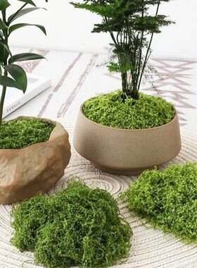 仿真苔藓青苔羊毛藓不掉色水陆