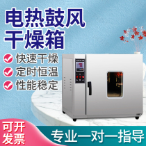 Electric Hot Blast Drying Cabinet Double Open Door Small Thermostatic Food Drying Box Industrial High Temperature Cycle Heating Baking Oven