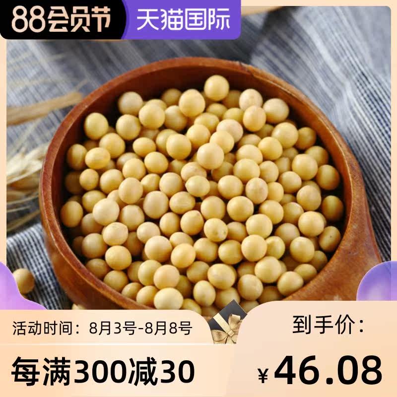 东北能发豆芽的黄豆10斤豆牙小黄豆 广农乐黄豆