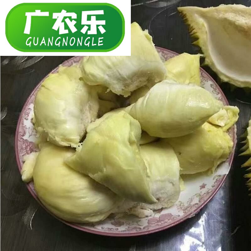  广农乐榴莲