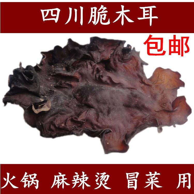 包邮四川大毛木耳白背脆耳子麻辣烫 广农乐黑木耳