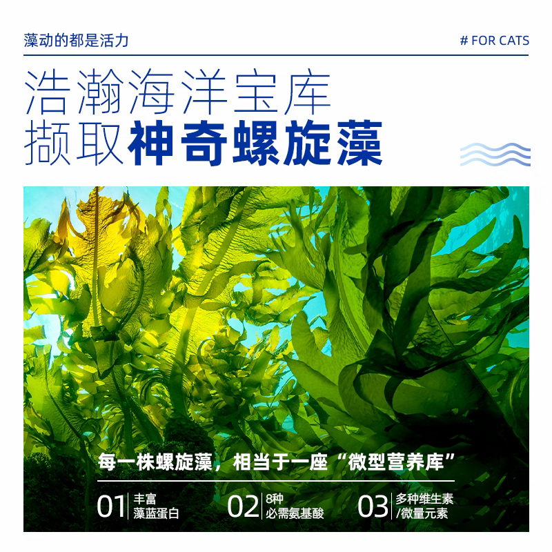 麦富迪藻趣儿猫粮通用成幼猫蓝猫猫咪营养平价田园猫 - 图0