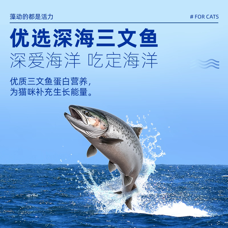 麦富迪藻趣儿猫粮通用成幼猫蓝猫猫咪营养平价田园猫 - 图2