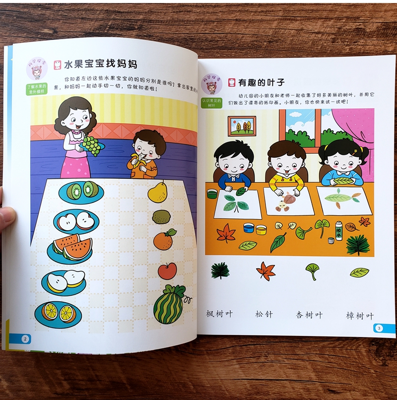 幼儿学前启蒙早教益智潜能开发训练小班中班大班找不同专注力训练-图3