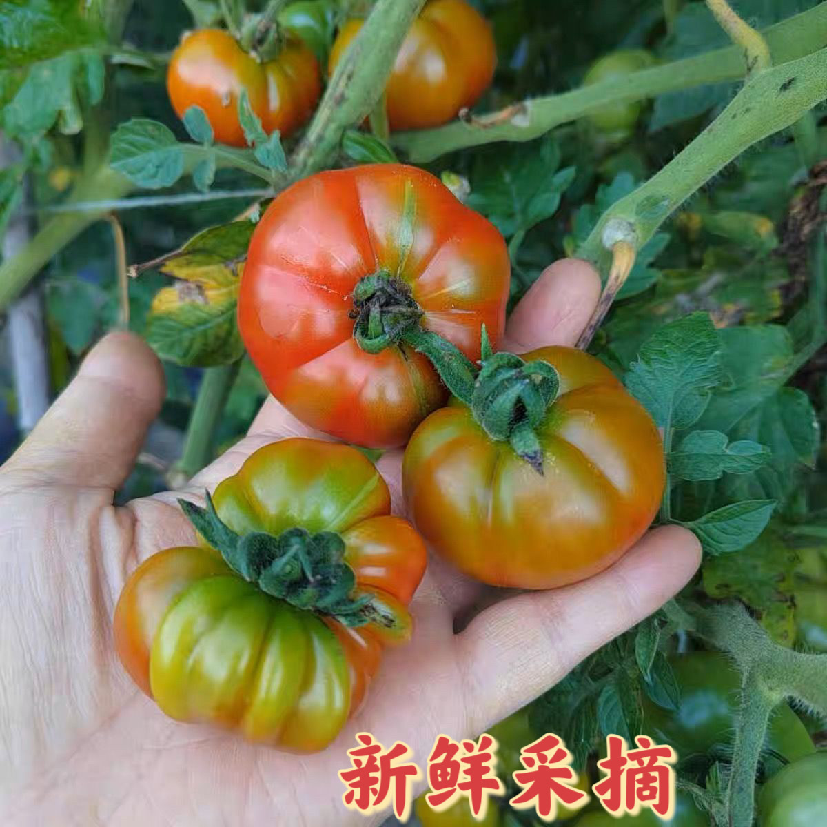 图3