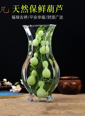 保鲜绿色客厅办公室镶嵌天然葫芦